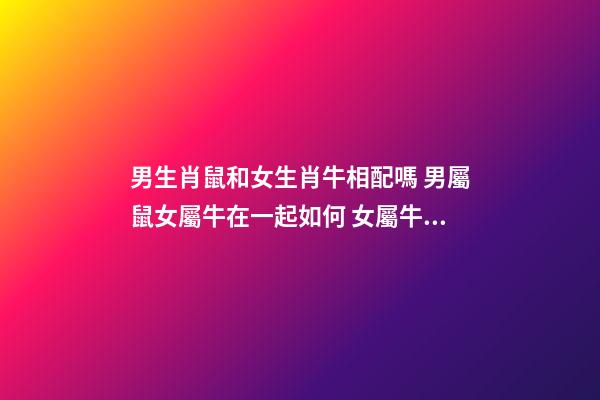 男生肖鼠和女生肖牛相配嗎 男屬鼠女屬牛在一起如何 女屬牛和男屬鼠配嗎？屬牛的和屬鼠的配嗎？-第1張-觀點-玄機派